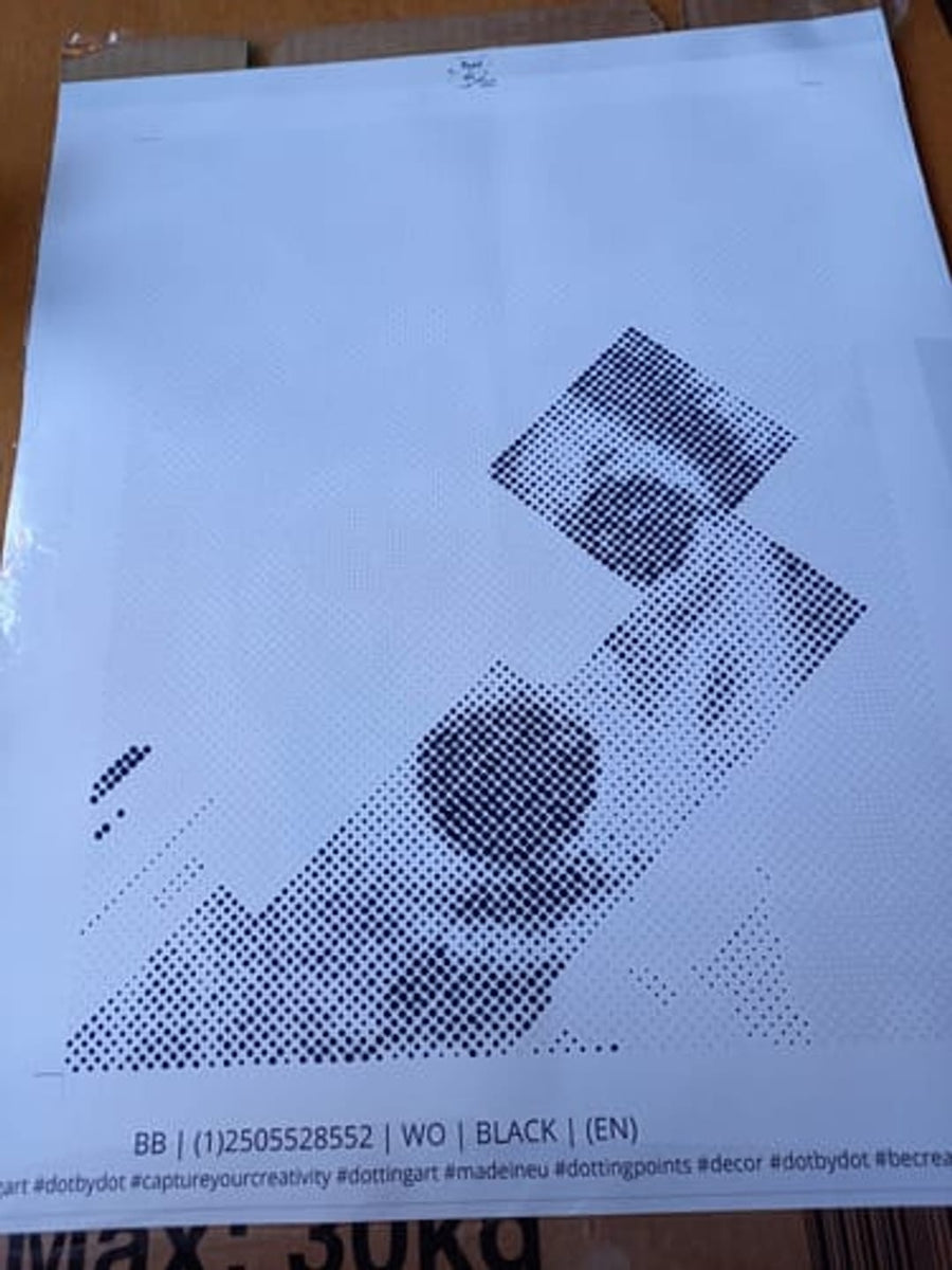 Kundrecension: Roligt och spännande med prickmålningsprojektet från första pricken.